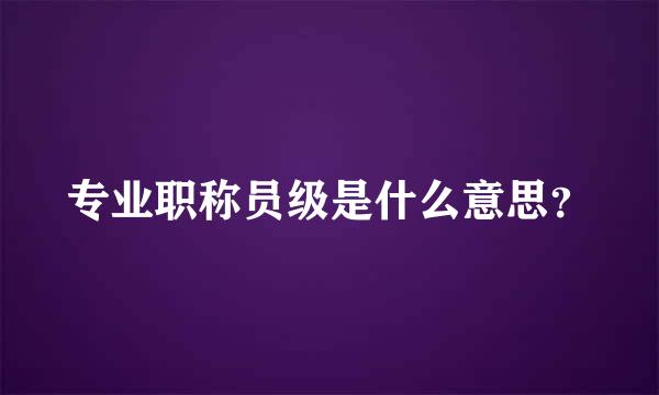 专业职称员级是什么意思？