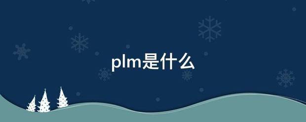 plm是什么