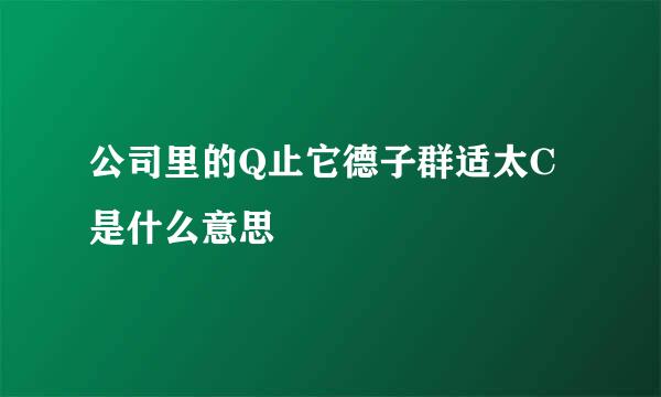 公司里的Q止它德子群适太C是什么意思