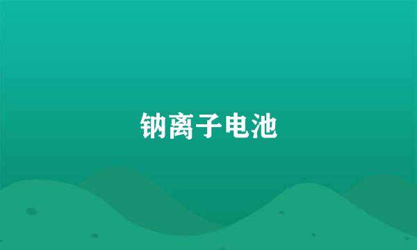 钠离子电池