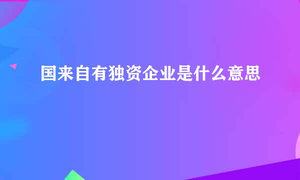 国来自有独资企业是什么意思