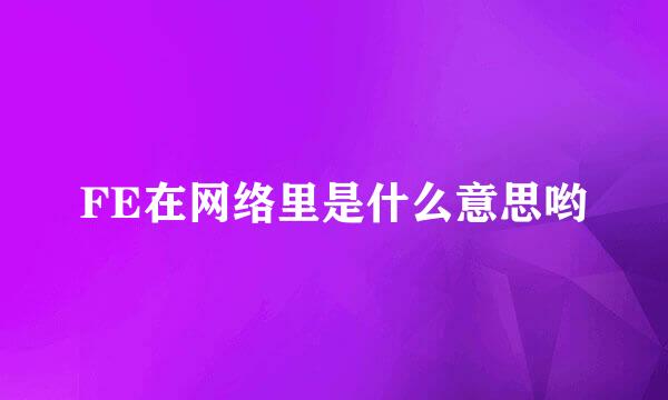 FE在网络里是什么意思哟