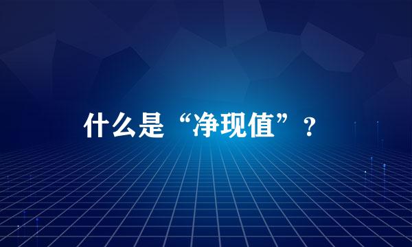 什么是“净现值”？