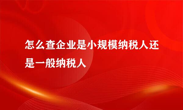 怎么查企业是小规模纳税人还是一般纳税人