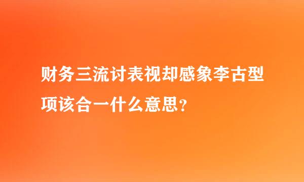 财务三流讨表视却感象李古型项该合一什么意思？