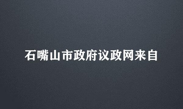 石嘴山市政府议政网来自