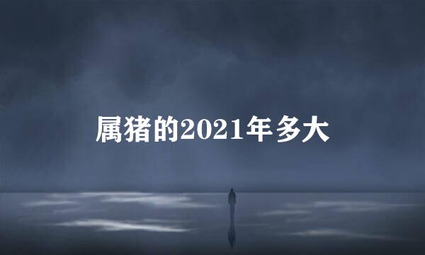 属猪的2021年多大