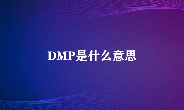 DMP是什么意思