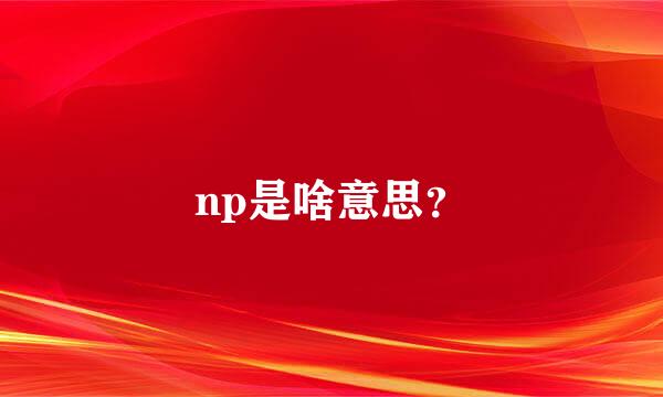 np是啥意思？