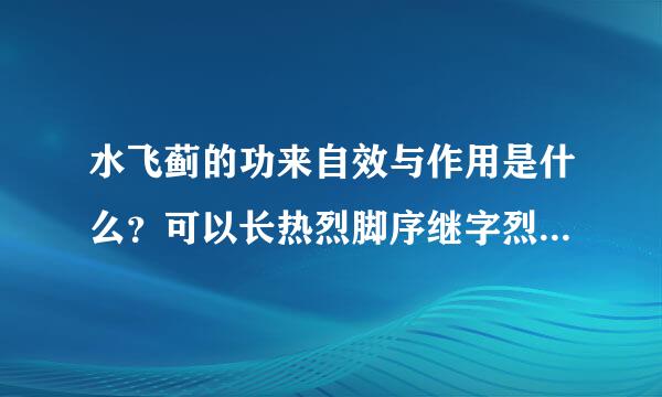 水飞蓟的功来自效与作用是什么？可以长热烈脚序继字烈期服用吗？