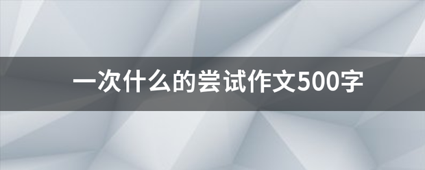 一次什么的尝试作文500字