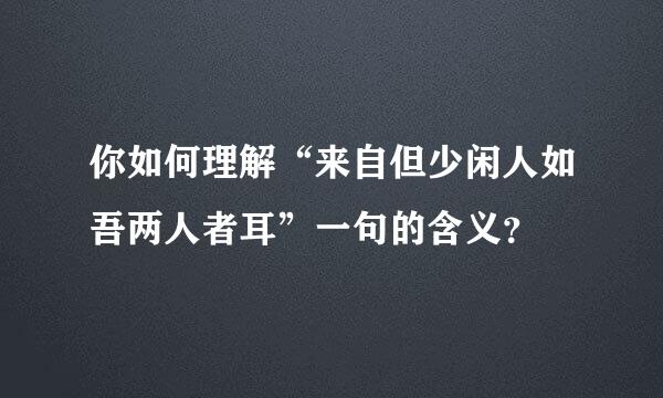 你如何理解“来自但少闲人如吾两人者耳”一句的含义？