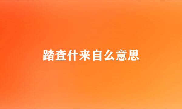 踏查什来自么意思