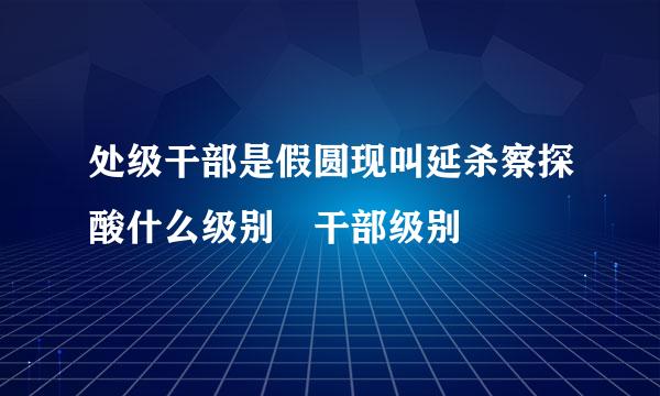 处级干部是假圆现叫延杀察探酸什么级别 干部级别