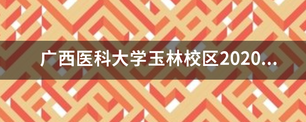 广西医科大学玉林校区2020最低控制分数线？