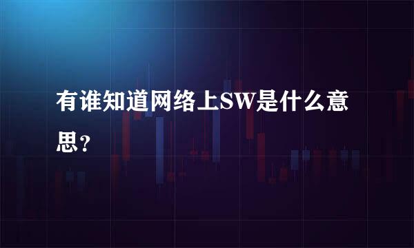 有谁知道网络上SW是什么意思？