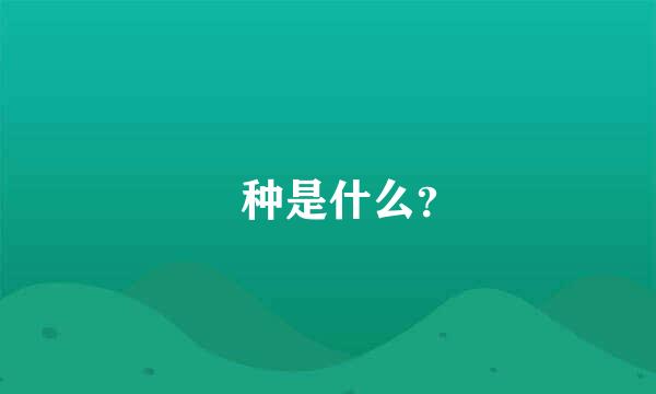 喰种是什么？