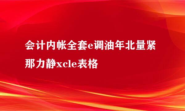 会计内帐全套e调油年北量紧那力静xcle表格