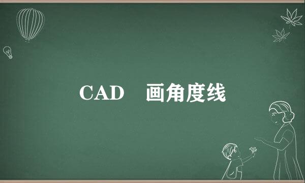 CAD 画角度线