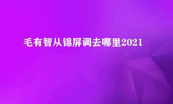 毛有智从锦屏调去哪里2021