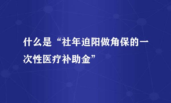 什么是“社年迫阳做角保的一次性医疗补助金”