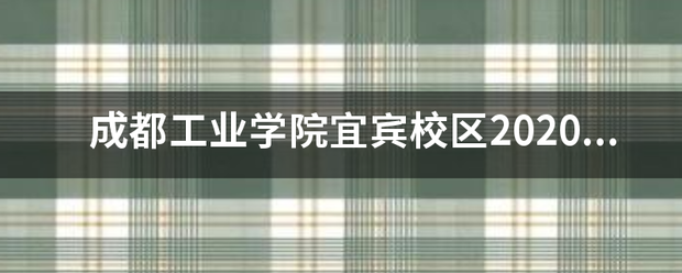 成都工植术支业学院宜宾校区2020年今年分数线如何？