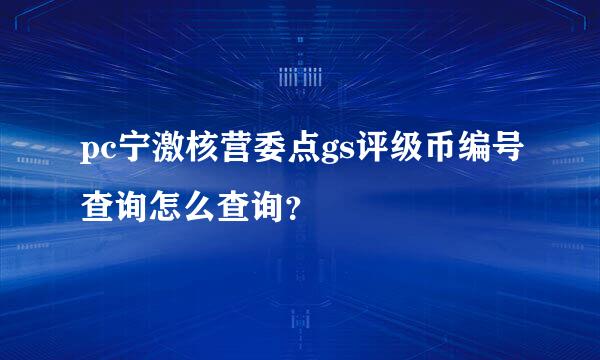 pc宁激核营委点gs评级币编号查询怎么查询？