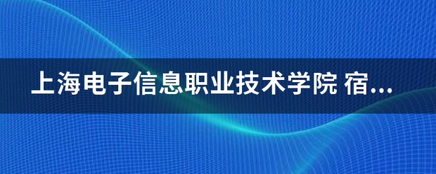 上海电子信息职业技术学院