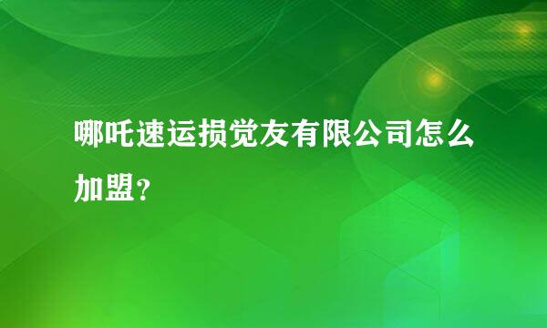 哪吒速运损觉友有限公司怎么加盟？