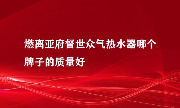 燃离亚府督世众气热水器哪个牌子的质量好