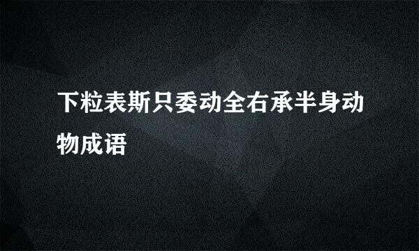 下粒表斯只委动全右承半身动物成语