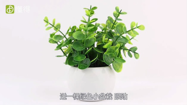 教师节送什么礼物？