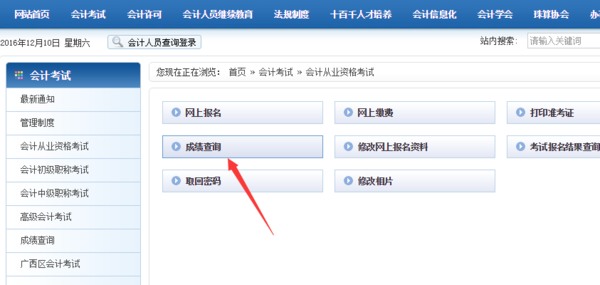 会计从业资格考试什么时候能查来自询成绩