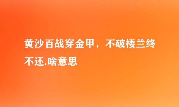 黄沙百战穿金甲，不破楼兰终不还.啥意思