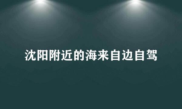 沈阳附近的海来自边自驾