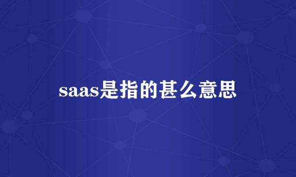 saas是指的甚么意思