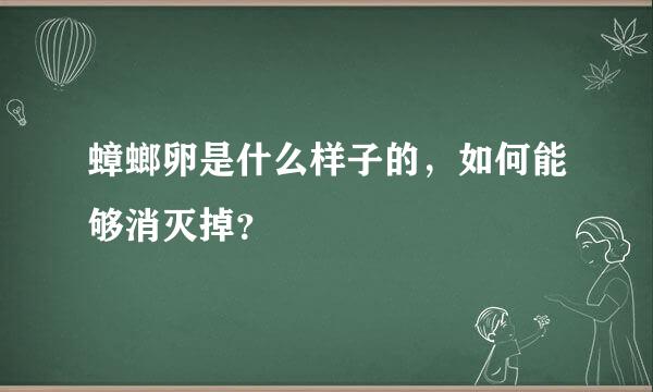 蟑螂卵是什么样子的，如何能够消灭掉？