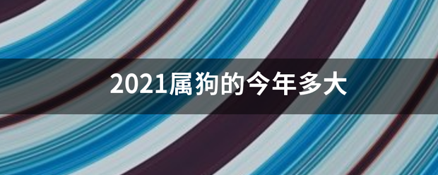 2021属狗的今年多大