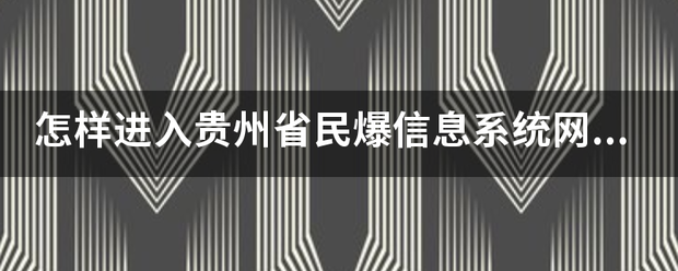 怎样进来自入贵州省民爆信息系统网络服务平台