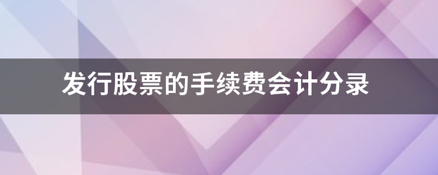 发行整断输直互饭读笔式曾股票的手续费会计分录