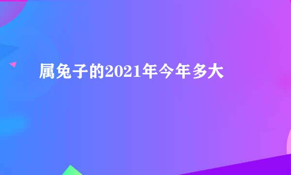 属兔子的2021年今年多大