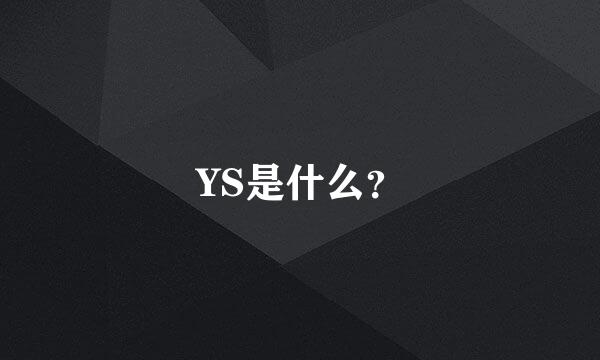 YS是什么？