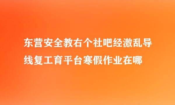 东营安全教右个社吧经激乱导线复工育平台寒假作业在哪