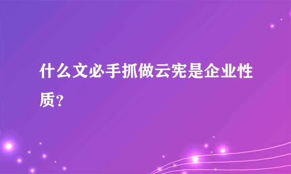 什么文必手抓做云宪是企业性质？