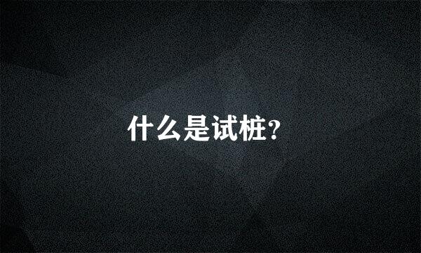 什么是试桩？