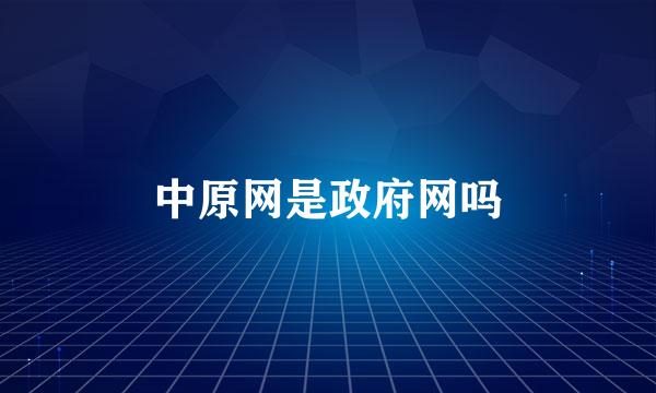 中原网是政府网吗