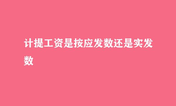 计提工资是按应发数还是实发数