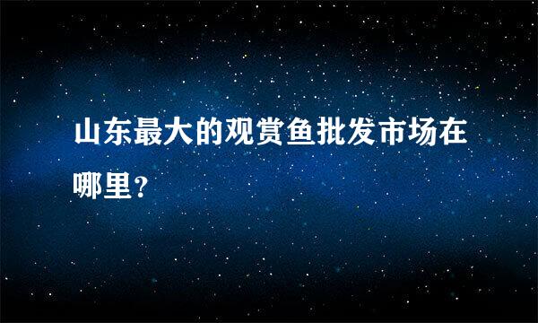 山东最大的观赏鱼批发市场在哪里？