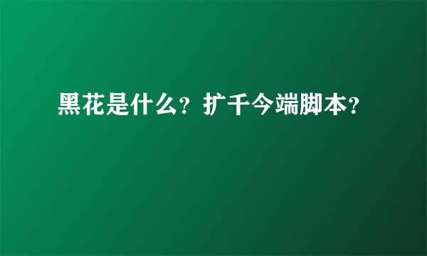 黑花是什么？扩千今端脚本？