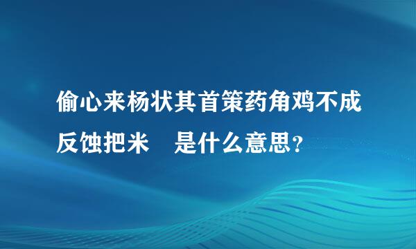 偷心来杨状其首策药角鸡不成反蚀把米 是什么意思？